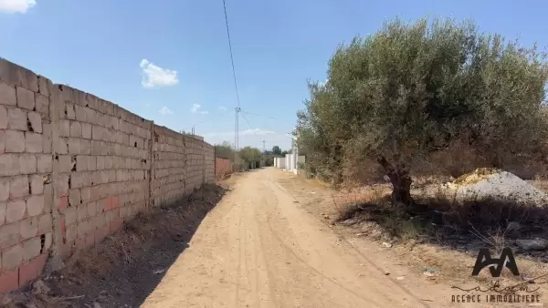 Terrain de 1000m² situé à Sidi Hammed