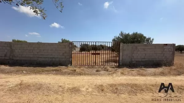 Terrain à vendre de 1113 m² à Sidi Hamed