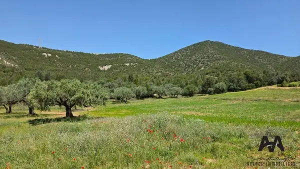 Terrain agricole à Mornag