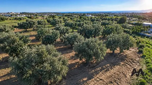 Terrain Agricole 4 002 m²– Cité Mora Nabeul